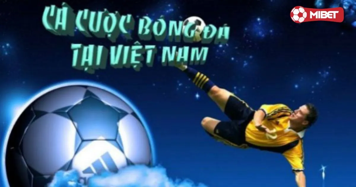 Luật cá độ bóng đá - Các loại hình cá độ bóng đá phổ biến