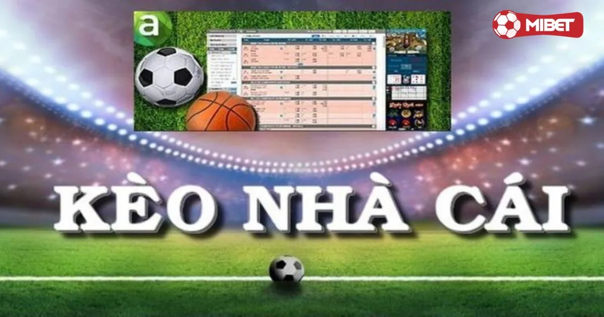Nhà cái ra kèo - Các yếu tố ảnh hưởng đến việc nhà cái ra kèo