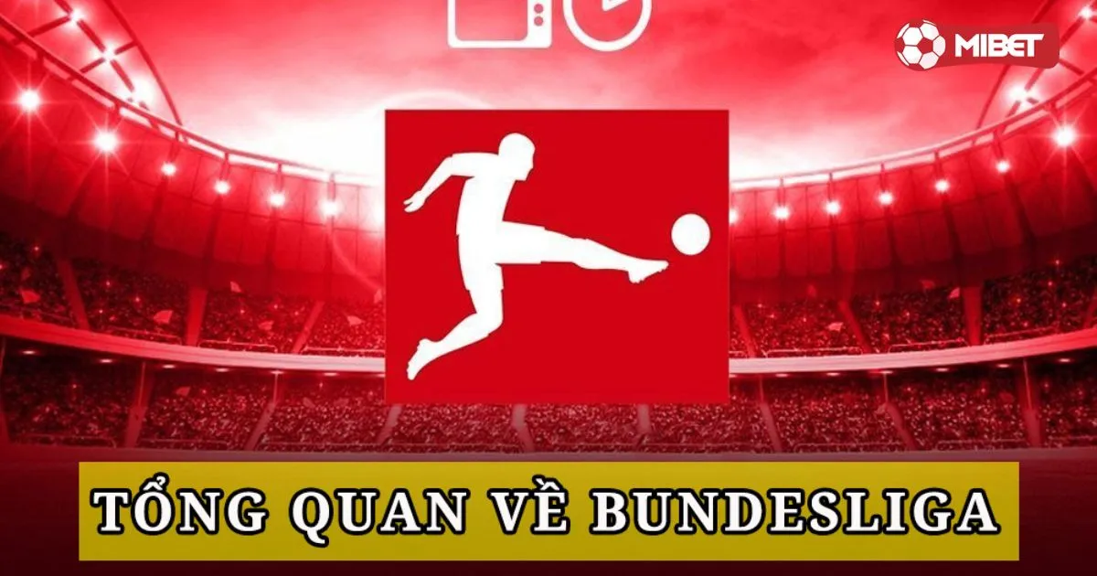 Bí Kíp Soi Kèo Bundesliga: Cách Chọn Cược Hiệu Quả