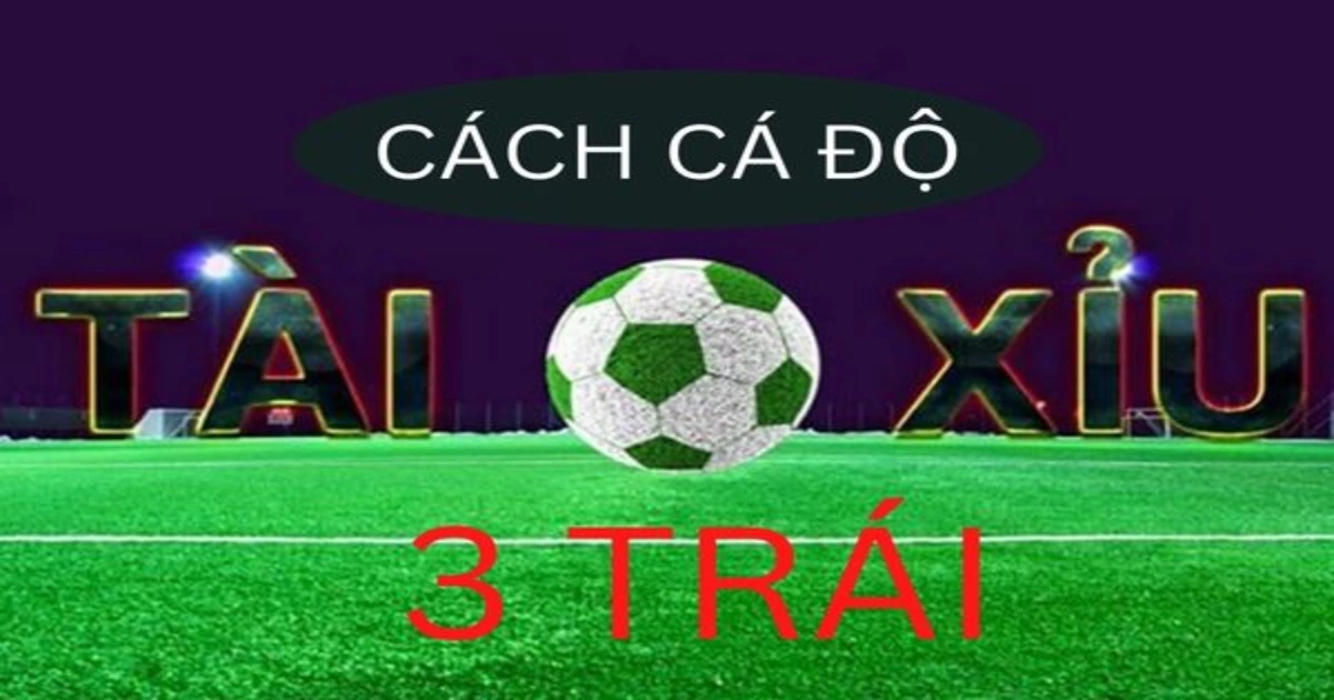Các mẹo chơi Tài xỉu 3 trái giúp tăng tỷ lệ thắng