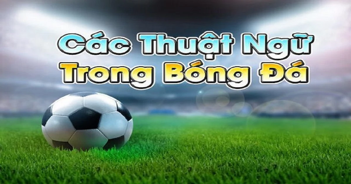 Thuật ngữ cá độ bóng đá và các loại kèo cá độ phổ biến
